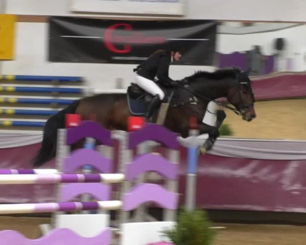 Reitturnier Eicherloh RH Laurent 2017