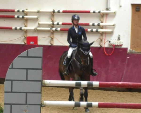 Reitturnier Eicherloh RH Laurent 2017