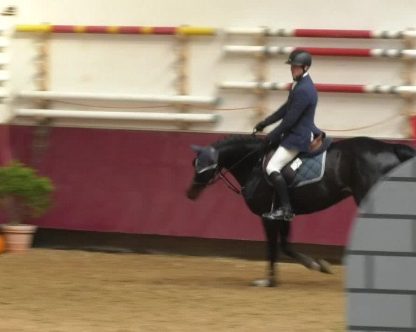 Reitturnier Eicherloh RH Laurent 2017