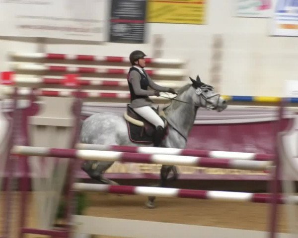 Reitturnier Eicherloh RH Laurent 2017