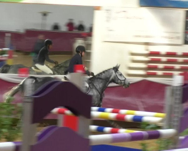 Reitturnier Eicherloh RH Laurent 2017