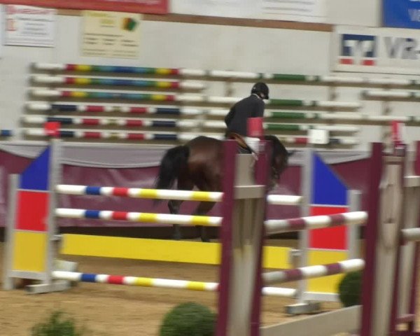 Reitturnier Eicherloh RH Laurent 2017