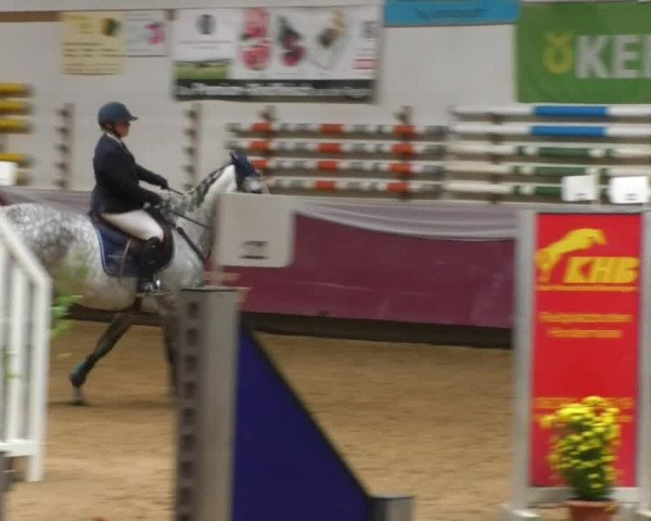 Reitturnier Eicherloh RH Laurent 2017