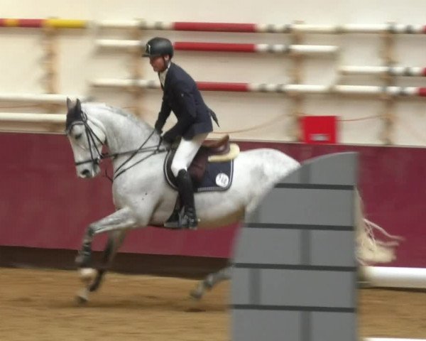 Reitturnier Eicherloh RH Laurent 2017