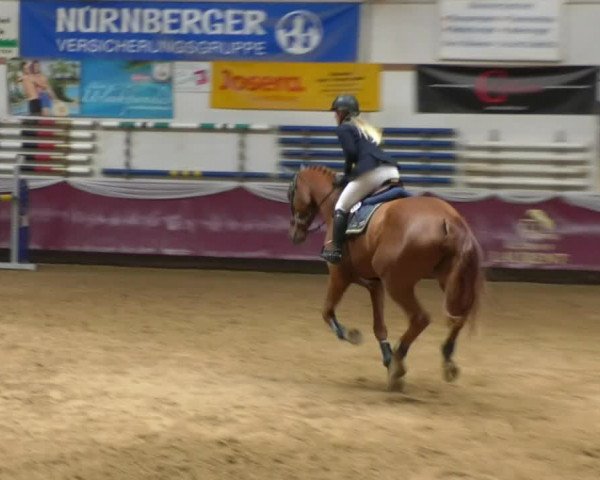 Reitturnier Eicherloh RH Laurent 2017
