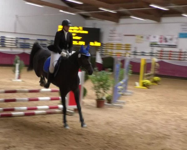 Reitturnier Eicherloh RH Laurent 2017