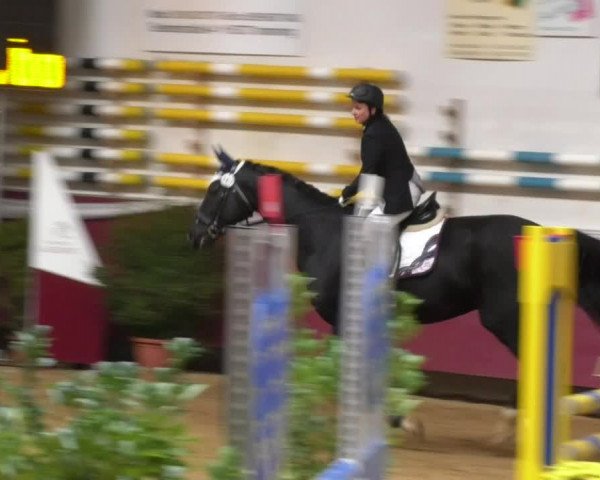 Reitturnier Eicherloh RH Laurent 2017