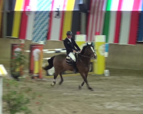 Reitturnier Köln-Leverkusen 2017