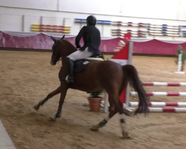 Reitturnier Eicherloh RH Laurent 2017