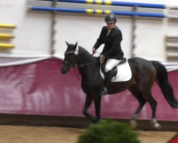 Reitturnier Eicherloh RH Laurent 2017