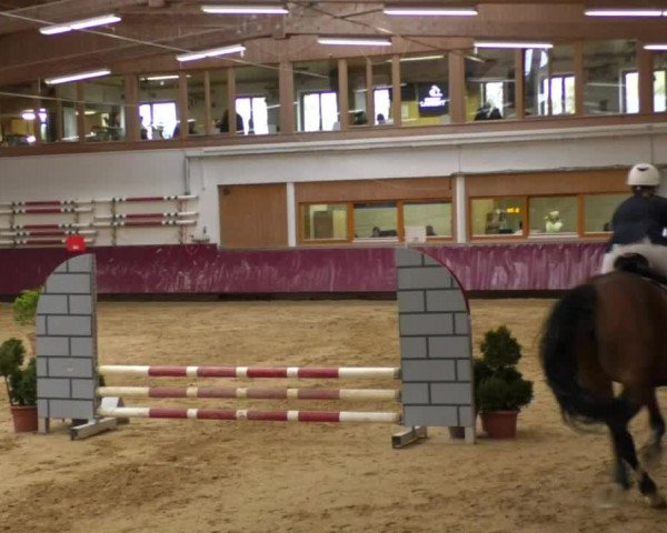 Reitturnier Eicherloh RH Laurent 2017