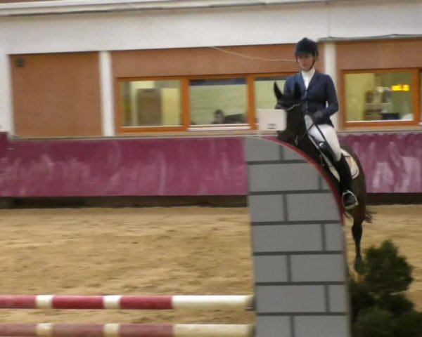 Reitturnier Eicherloh RH Laurent 2017