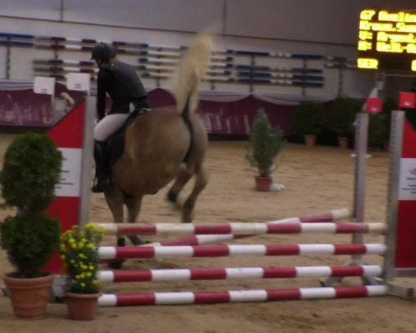 Reitturnier Eicherloh RH Laurent 2017