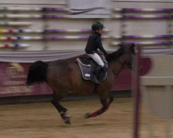Reitturnier Eicherloh RH Laurent 2017