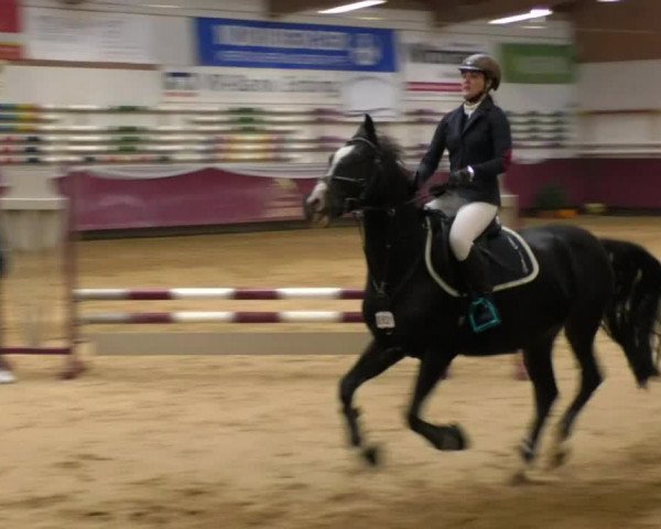Reitturnier Eicherloh RH Laurent 2017