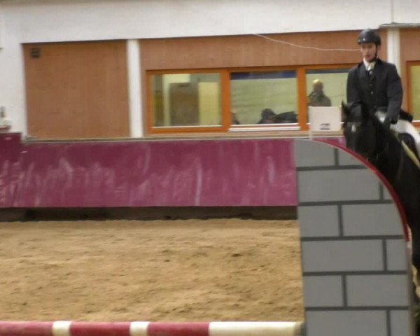 Reitturnier Eicherloh RH Laurent 2017