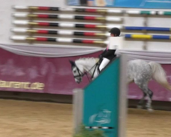 Reitturnier Eicherloh RH Laurent 2017