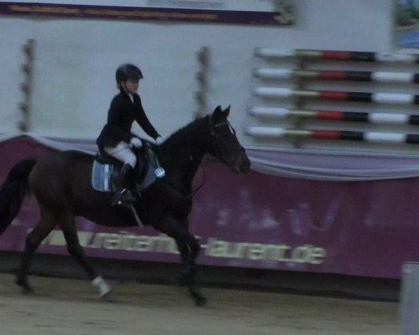 Reitturnier Eicherloh RH Laurent 2017