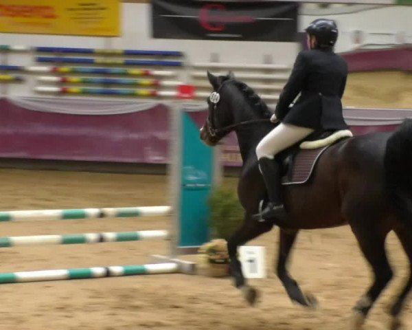 Reitturnier Eicherloh RH Laurent 2017