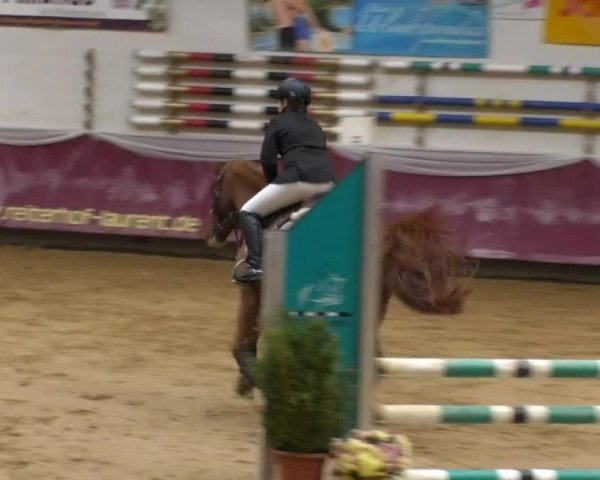 Reitturnier Eicherloh RH Laurent 2017