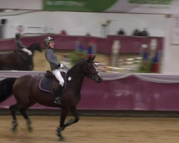 Reitturnier Eicherloh RH Laurent 2017