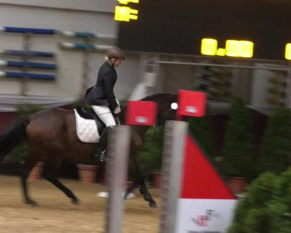 Reitturnier Eicherloh RH Laurent 2017