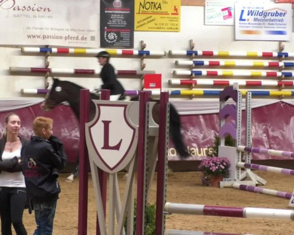 Reitturnier Eicherloh RH Laurent 2017
