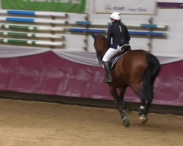 Reitturnier Eicherloh RH Laurent 2017