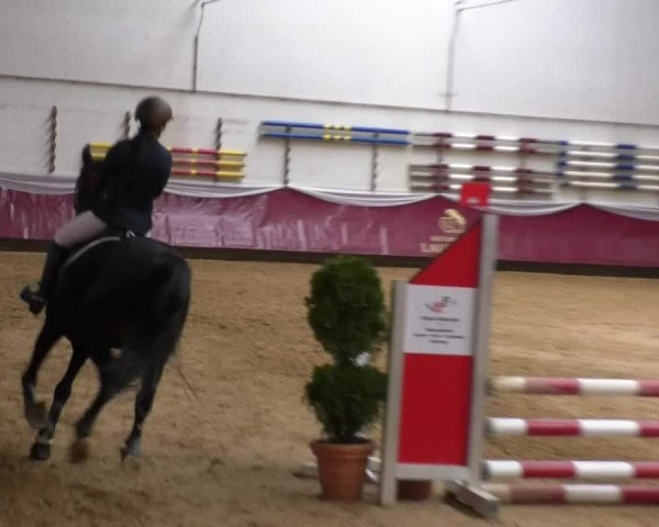 Reitturnier Eicherloh RH Laurent 2017