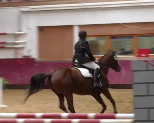 Reitturnier Eicherloh RH Laurent 2017