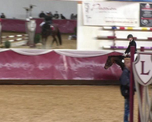 Reitturnier Eicherloh RH Laurent 2017