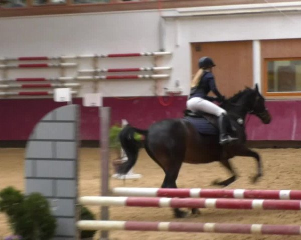 Reitturnier Eicherloh RH Laurent 2017