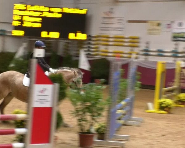 Reitturnier Eicherloh RH Laurent 2017