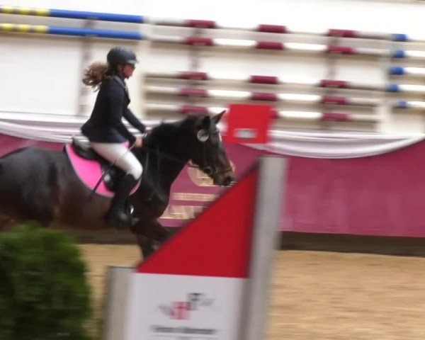 Reitturnier Eicherloh RH Laurent 2017