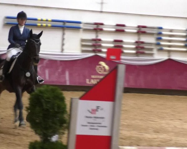 Reitturnier Eicherloh RH Laurent 2017