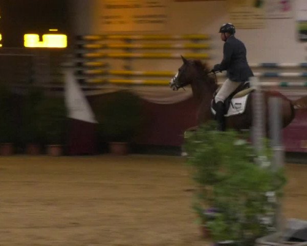 Reitturnier Eicherloh RH Laurent 2017