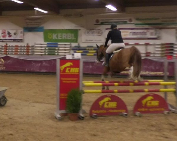 Reitturnier Eicherloh RH Laurent 2017