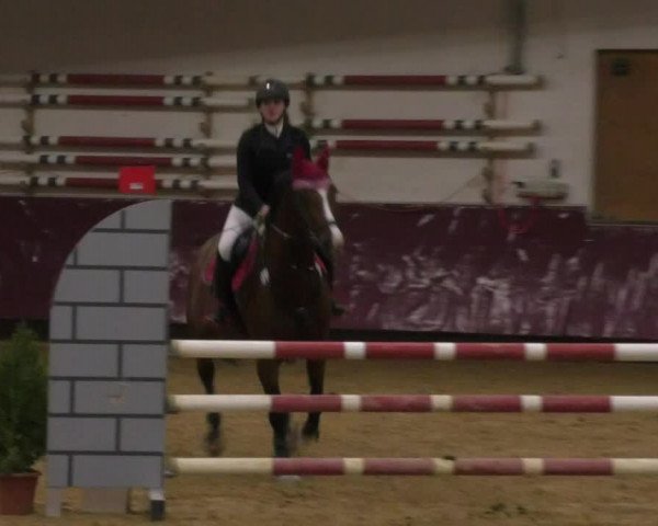 Reitturnier Eicherloh RH Laurent 2017