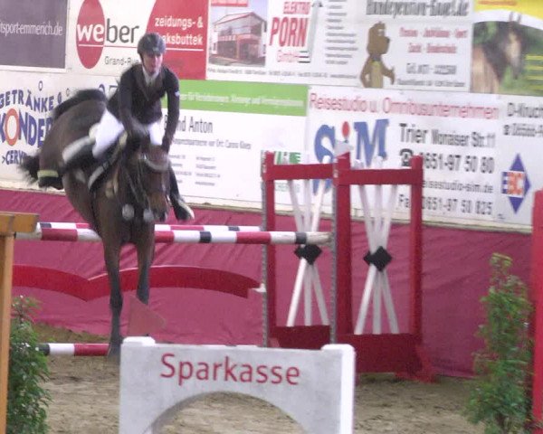 Reitturnier Trier - Hofgut Monaise 2017