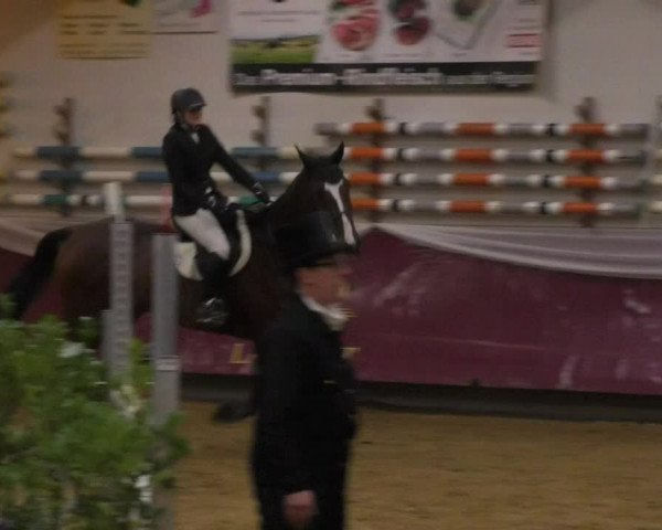 Reitturnier Eicherloh RH Laurent 2017