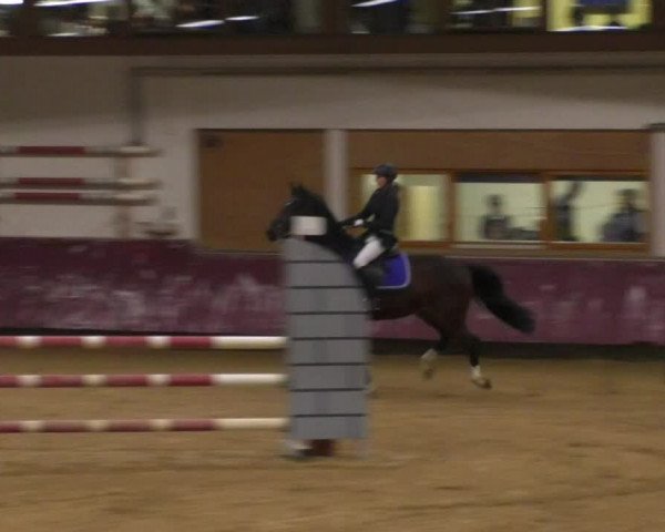 Reitturnier Eicherloh RH Laurent 2017