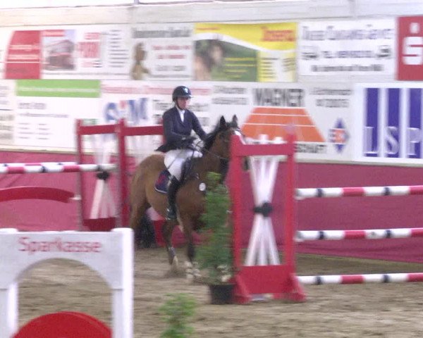 Reitturnier Trier - Hofgut Monaise 2017
