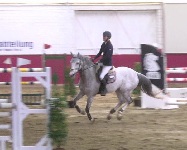 Reitturnier Trier - Hofgut Monaise 2017