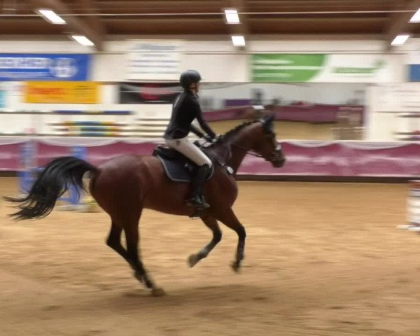 Reitturnier Eicherloh RH Laurent 2017