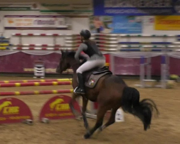 Reitturnier Eicherloh RH Laurent 2017