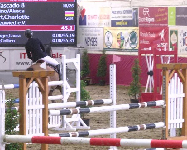 Reitturnier Trier - Hofgut Monaise 2017
