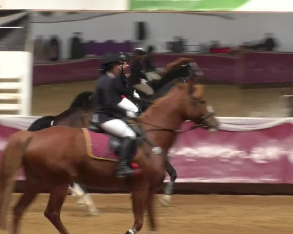 Reitturnier Eicherloh RH Laurent 2017