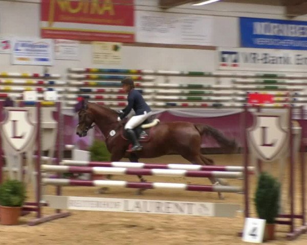 Reitturnier Eicherloh RH Laurent 2017