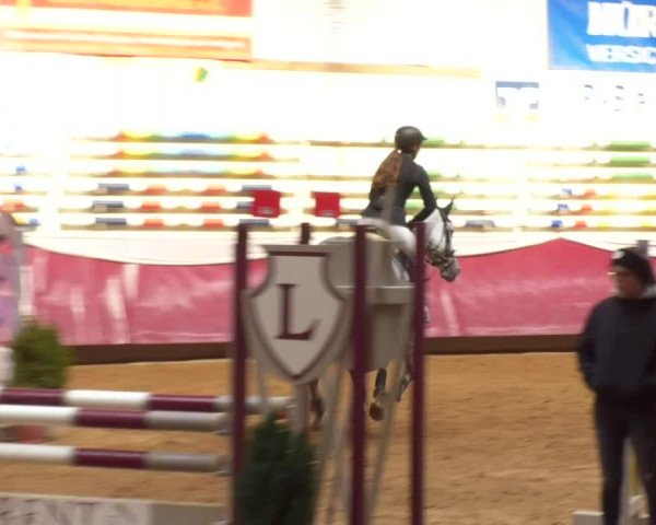 Reitturnier Eicherloh RH Laurent 2017