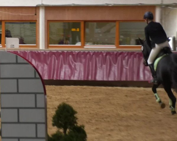 Reitturnier Eicherloh RH Laurent 2017